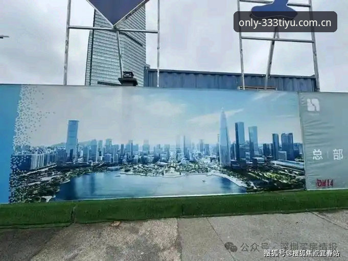 体育官方认证入口功能详解 333体育平台官网认证入口功能详解:新手安全指南